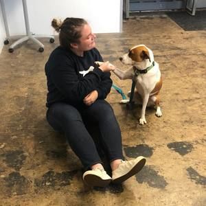 Meet your Posher, Hannah